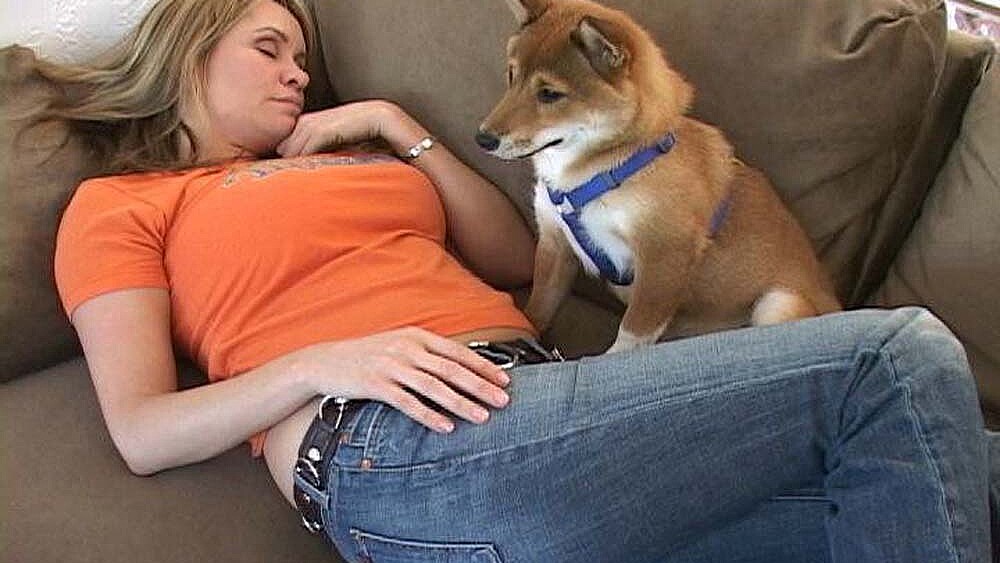 Bridgette Monroe fucking in the couch with her petite
